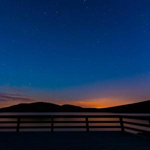 纯黄拳交黄黄色视视频
