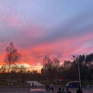 纯黄拳交黄黄色视视频
