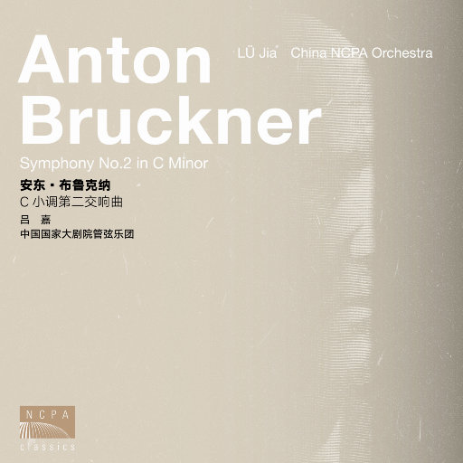 纯黄拳交黄黄色视视频
